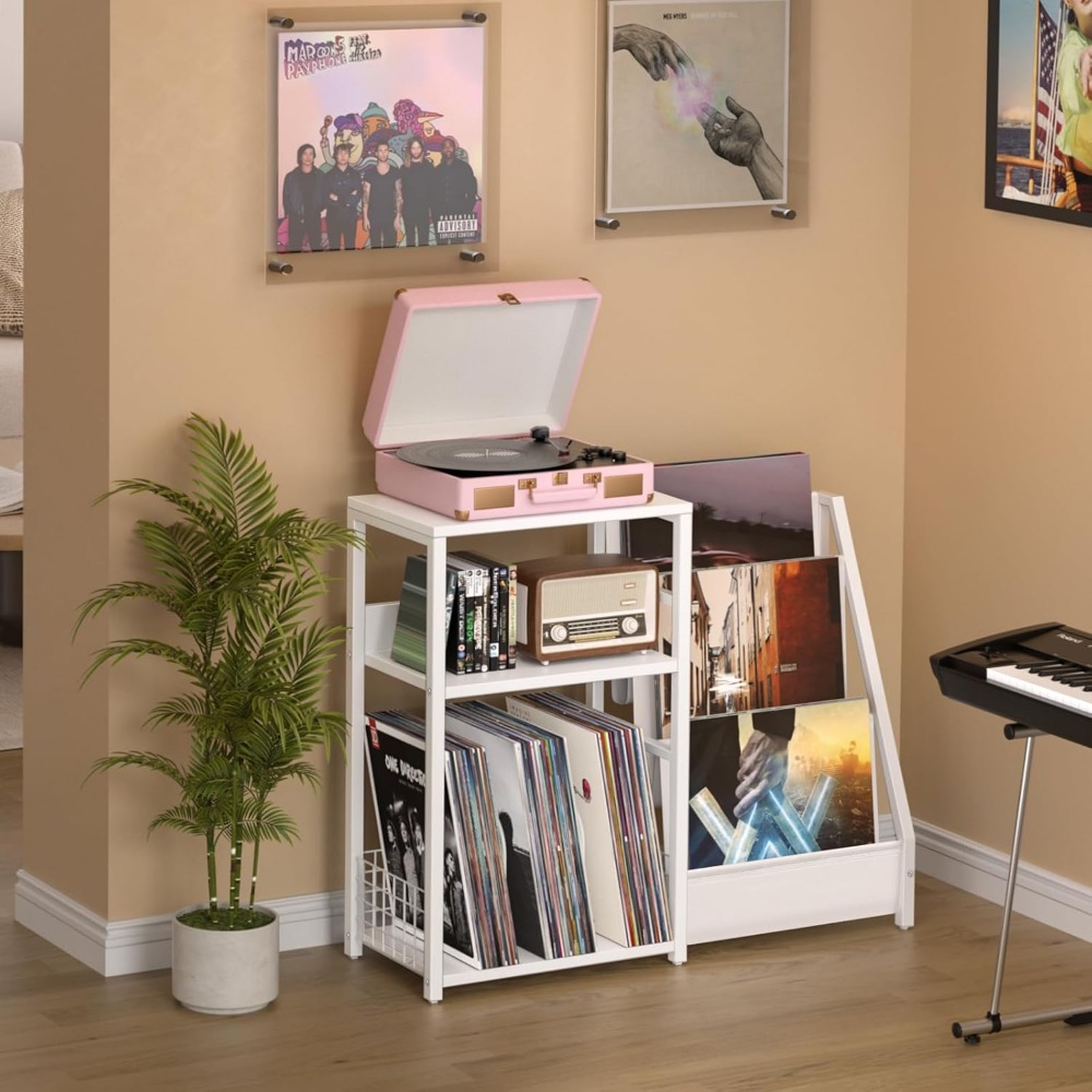 Record Player Stand with Vinyl - đánh giá và giá Magazine Holder Rack