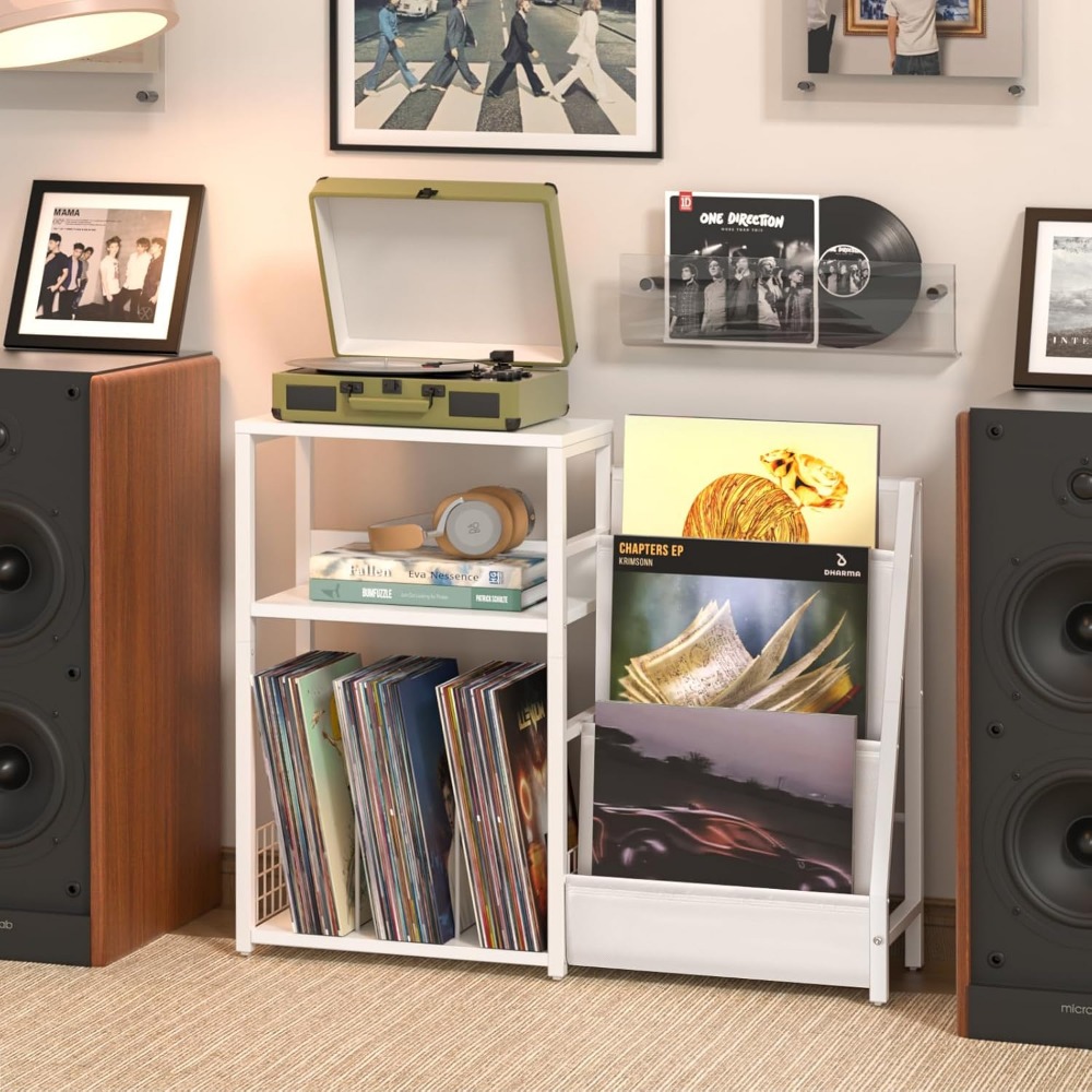 Record Player Stand with Vinyl - đánh giá và giá Magazine Holder Rack