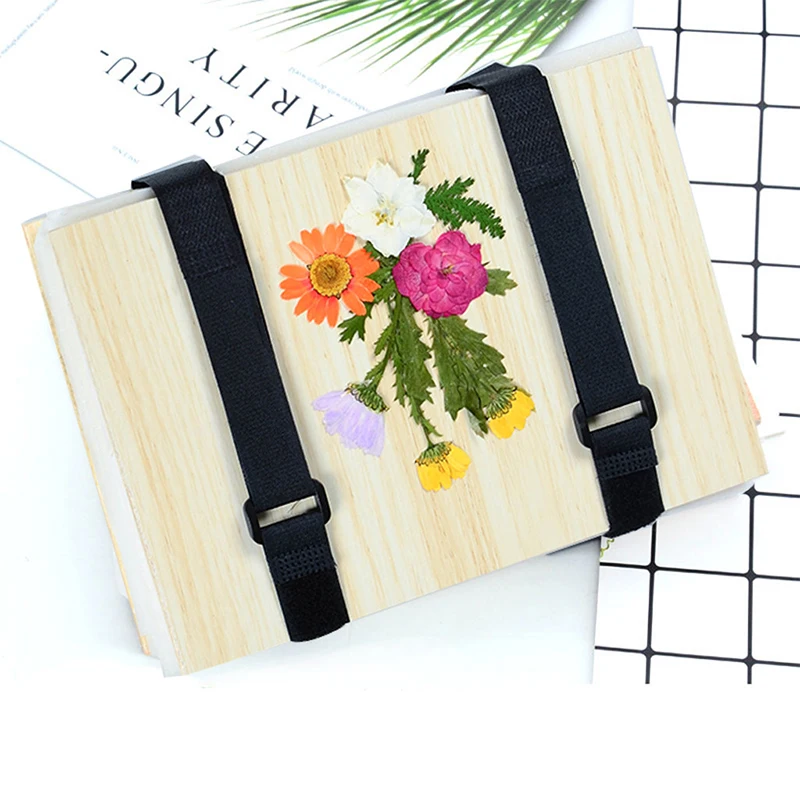 1 Set Plant Specimen Tool Kit  - đánh giá và giá Ink Blotter Paper