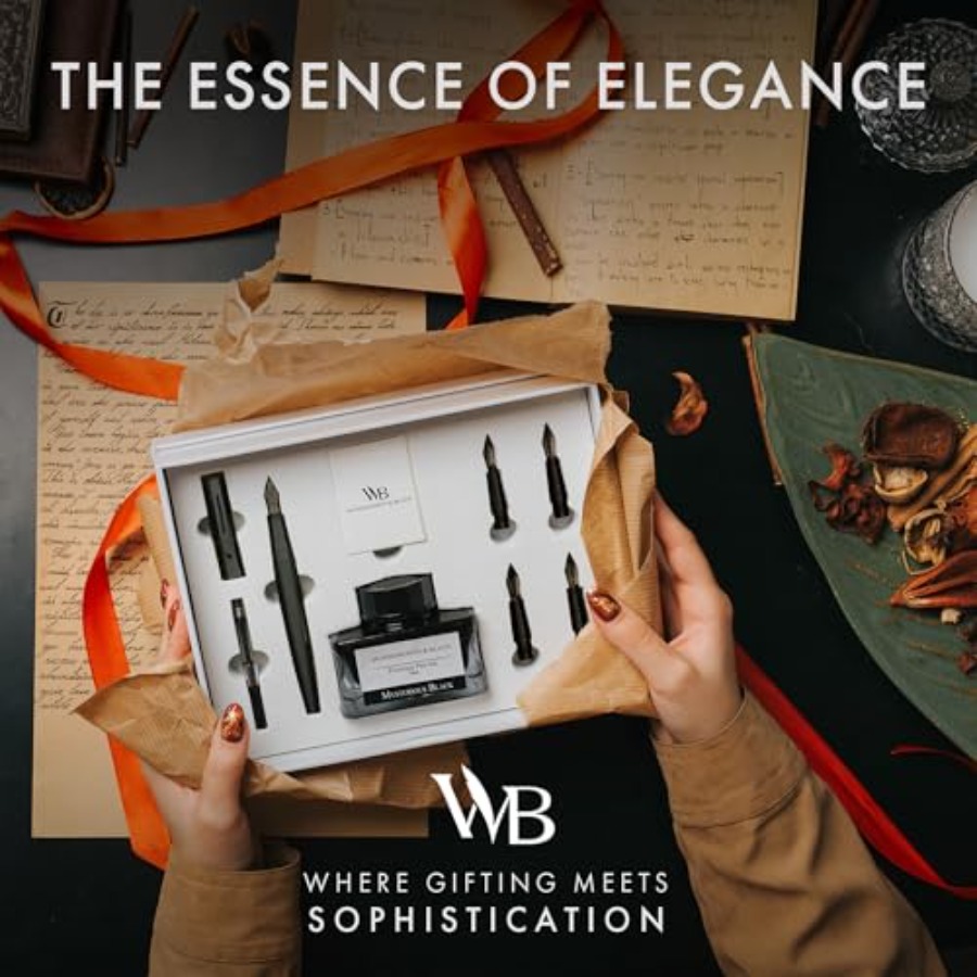 Fountain Pen Gift Set, Include - đánh giá và giá Fountain Pen Bottled Ink